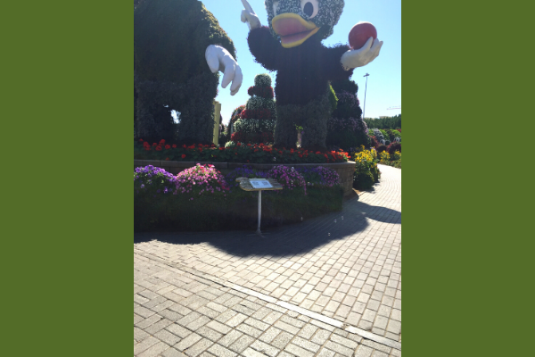 Disney at Dubai Miracle Garden