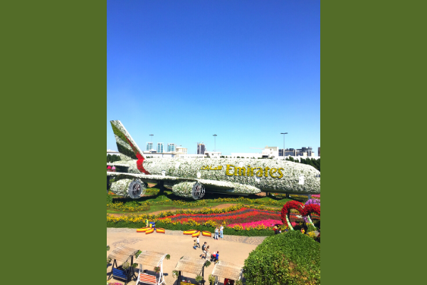 Emirates plane at Dubai Miracle Garden