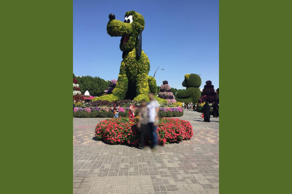 Goofy at Dubai Miracle Garden