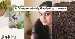 My Gardening Journey